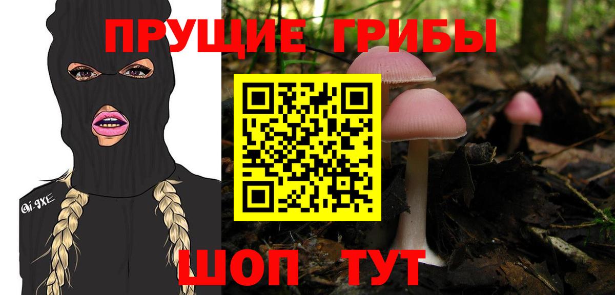 Псилоцибиновые грибы GOLDEN TEACHER  Вход с VPN  Тимашёвск 