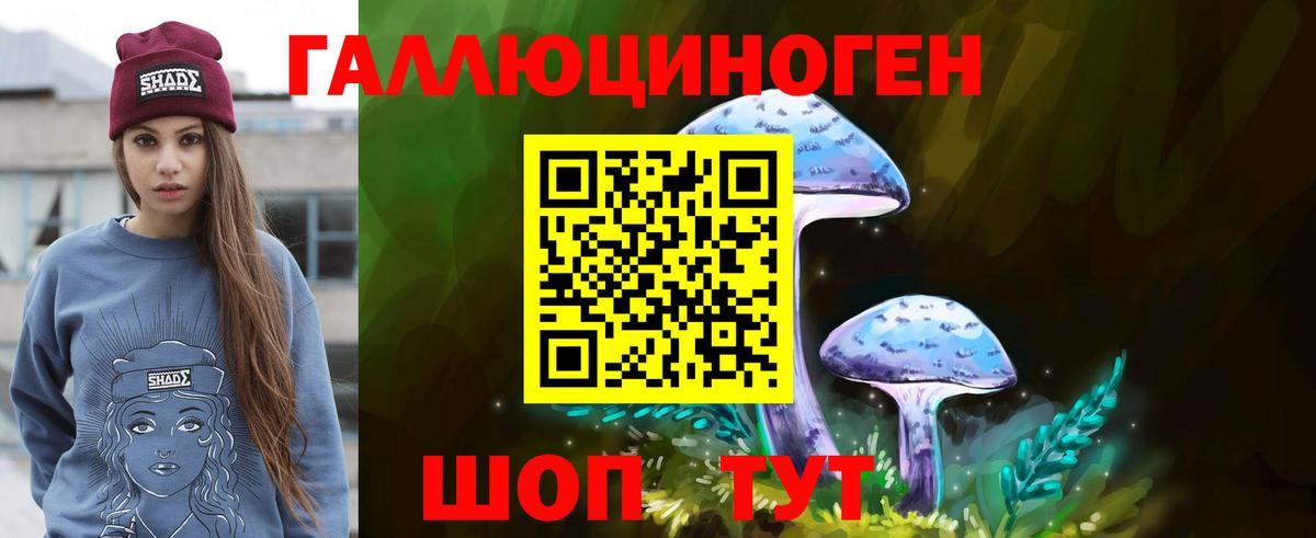Псилоцибиновые грибы Psilocybe Тимашёвск