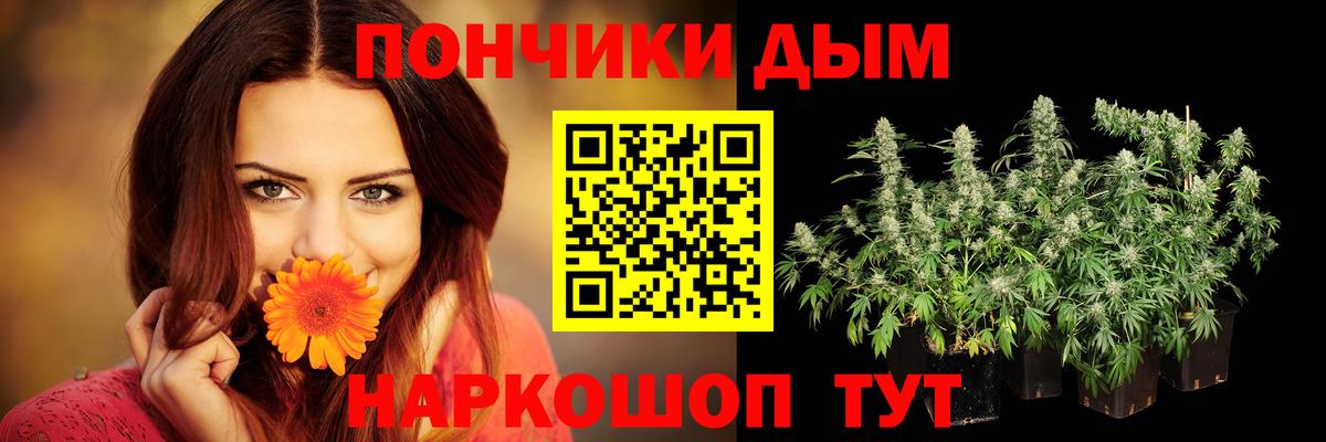 Бошки марихуана планчик Тимашёвск